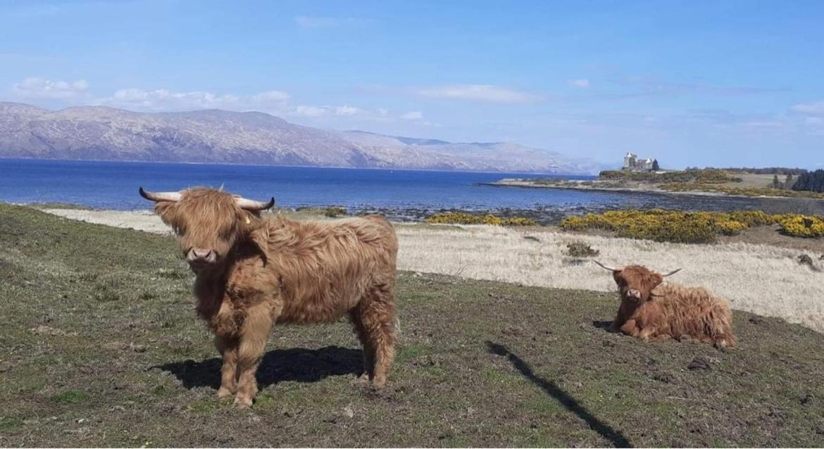 Ard Na Mara Self Catering Isle Of Mull Villa Dervaig Buitenkant foto